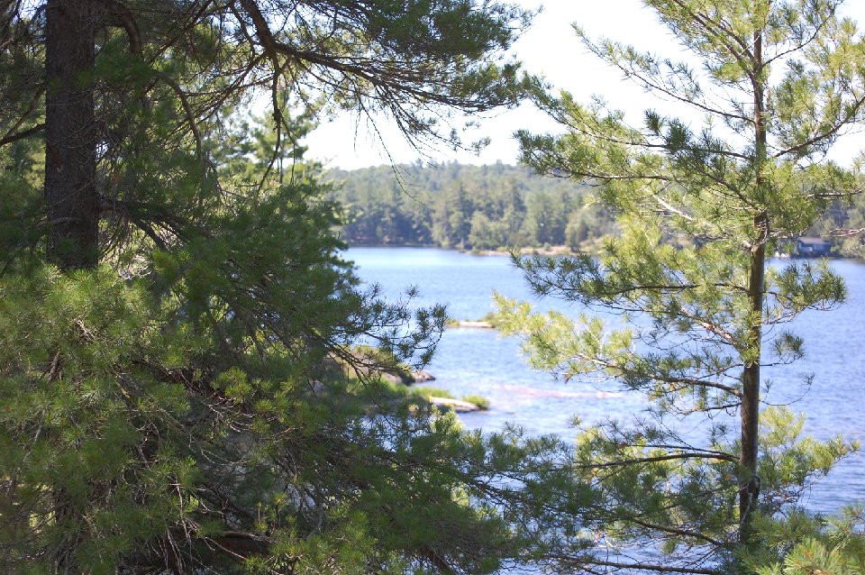 SUMMER2010- (179)